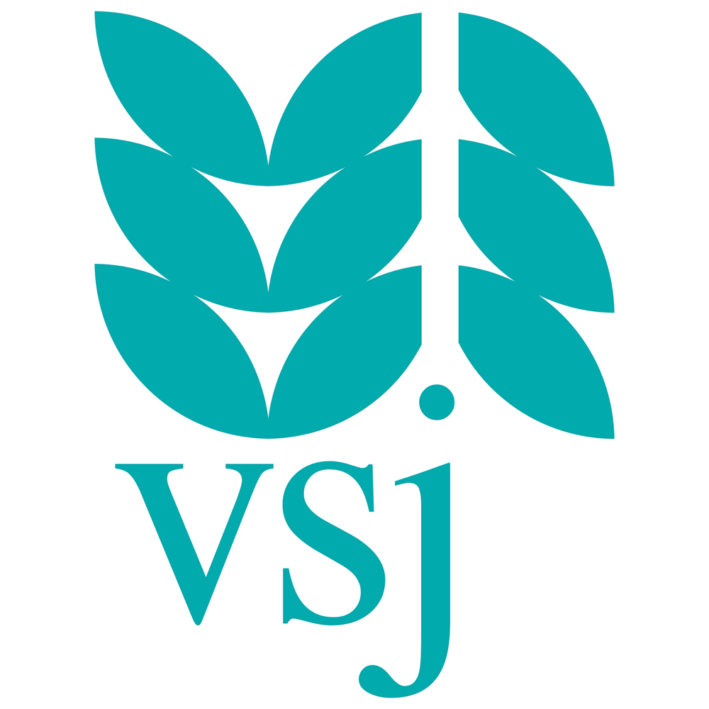 VSJ Coburg